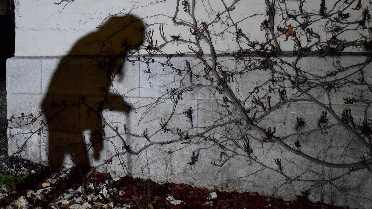 Essay: Das Leben der Schatten