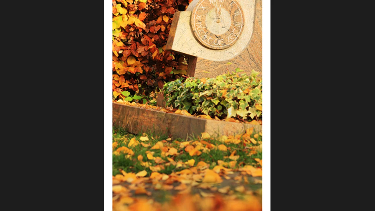 Advanced photography course - Visit only