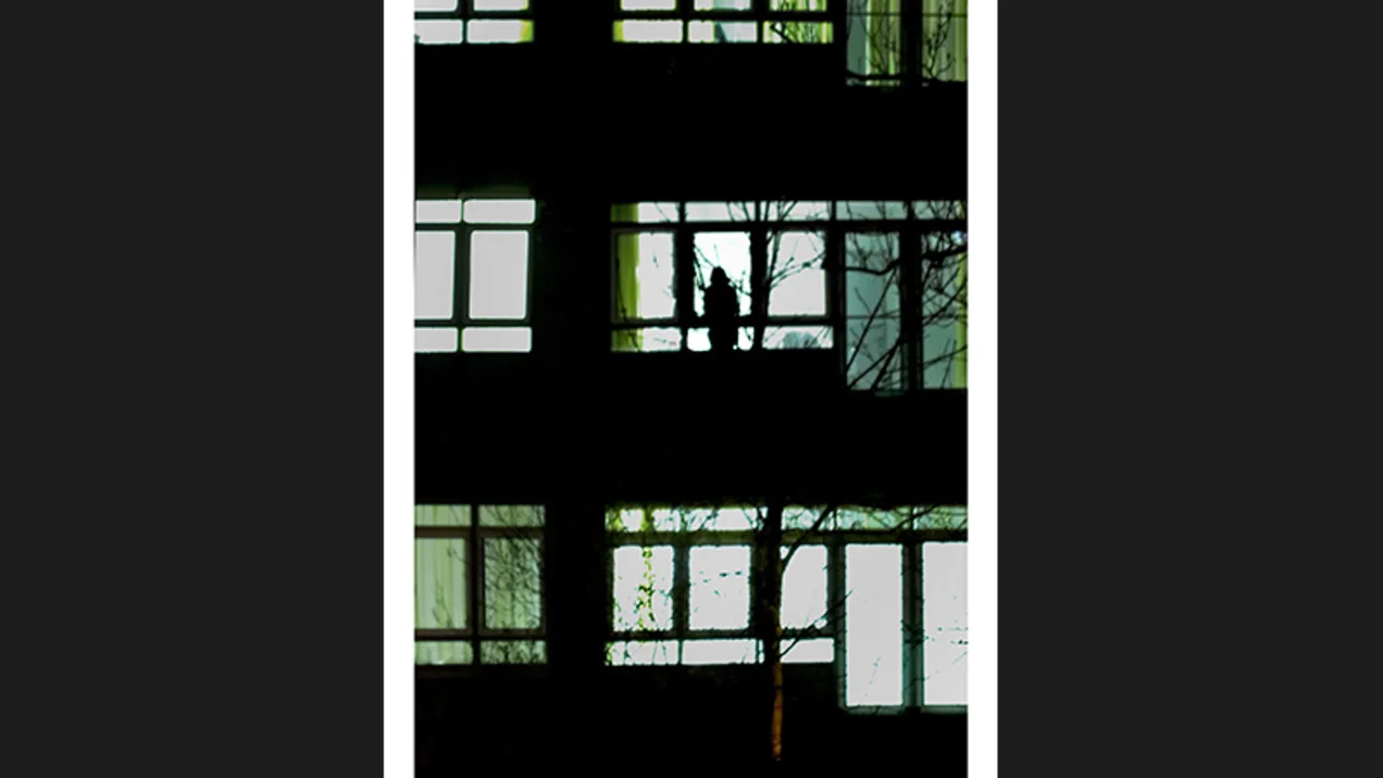 Advanced photography course - The hidden life