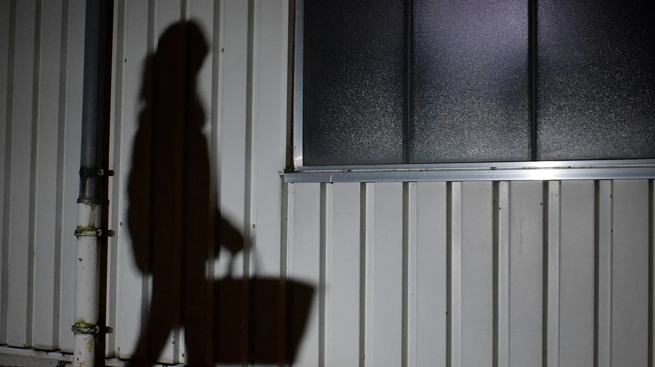 Essay: Das Leben der Schatten