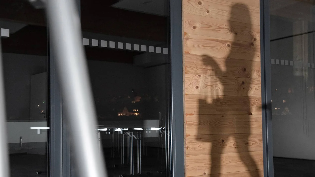 Essay: Das Leben der Schatten