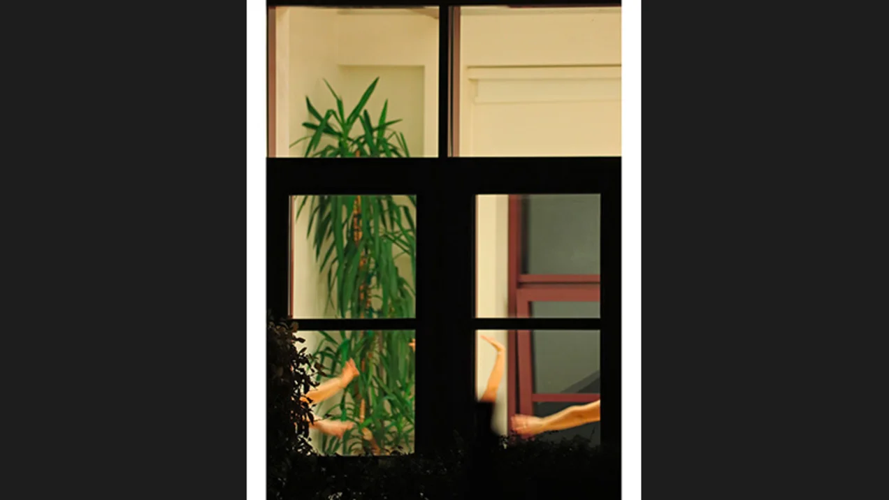 Advanced photography course - The hidden life