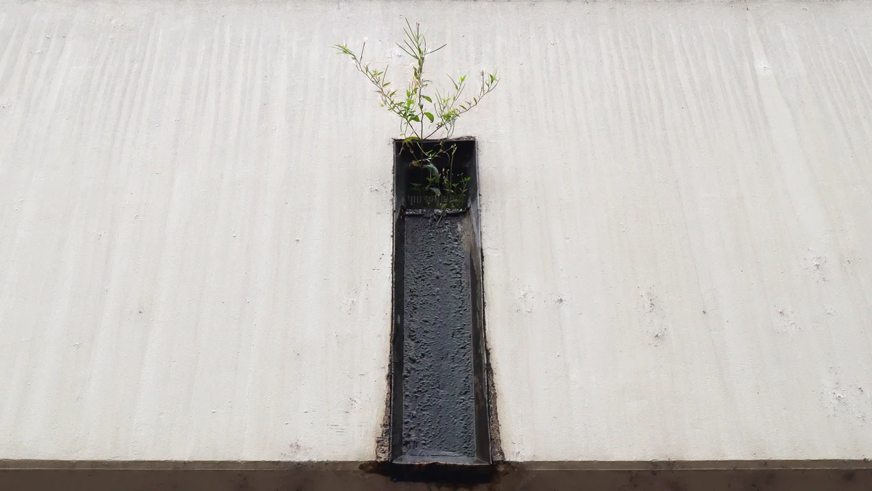 Essay: Fehl am Platz