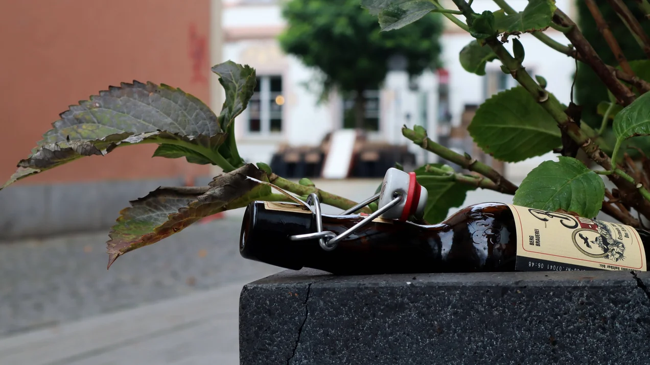 Essay: Fehl am Platz